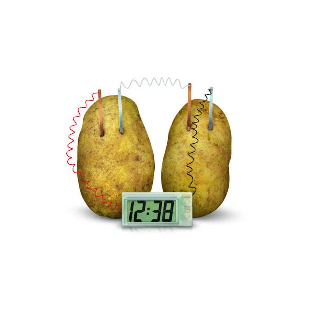 Green Science Potato Clock 4M