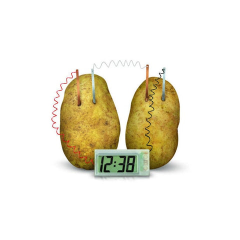 Green science Potato Clock 4M