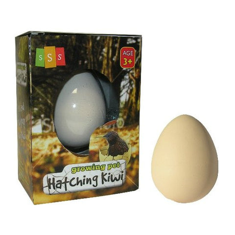 Hatching egg magic growing pet Kiwi