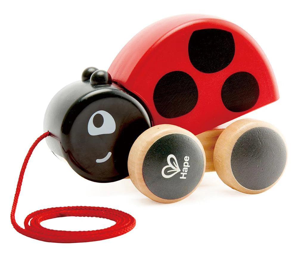 Ladybug Pull Along Hape  