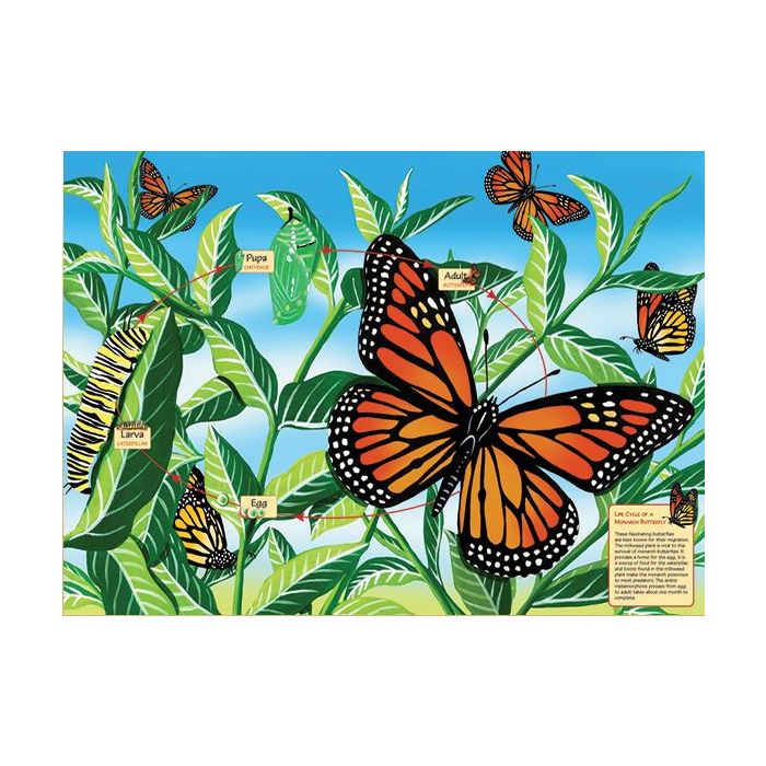 Life Cycle Of A Monarch Butterfly - 48 Piece Floor Puzzle