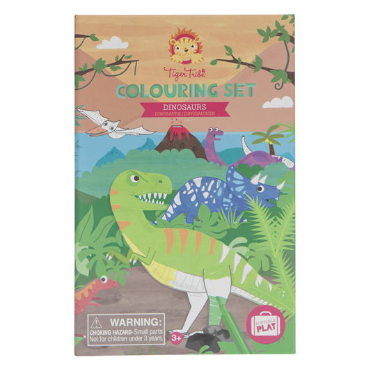 Tiger Tribe Colouring Set in a box - Dinosaur