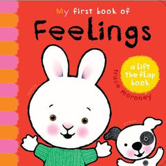 My first Book Of Feelings Book