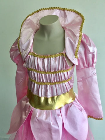 Cinderella Pink Dress-Up