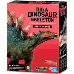 Dig a Dinosaur Skeleton- Stegosaurus