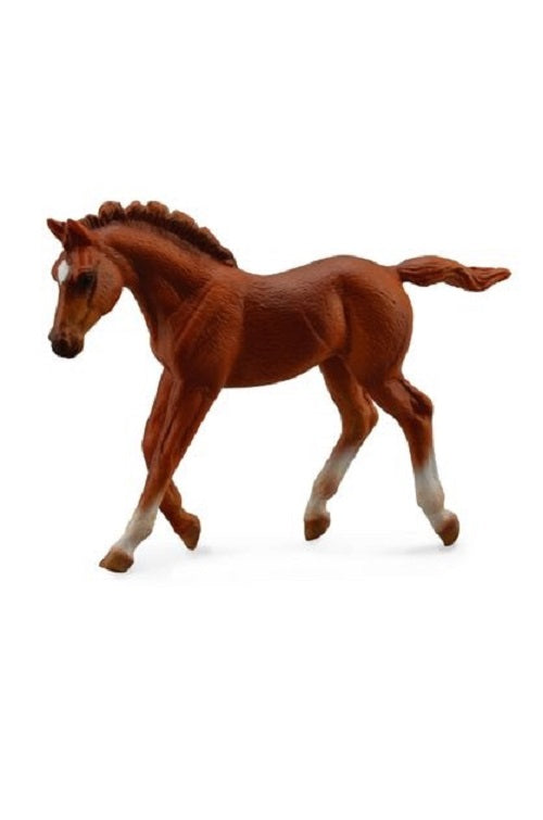 Thoroughbred foal Walking - Chestnut figurine