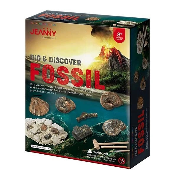 Dig & Discover Fossil