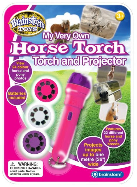 Horse torch and projector