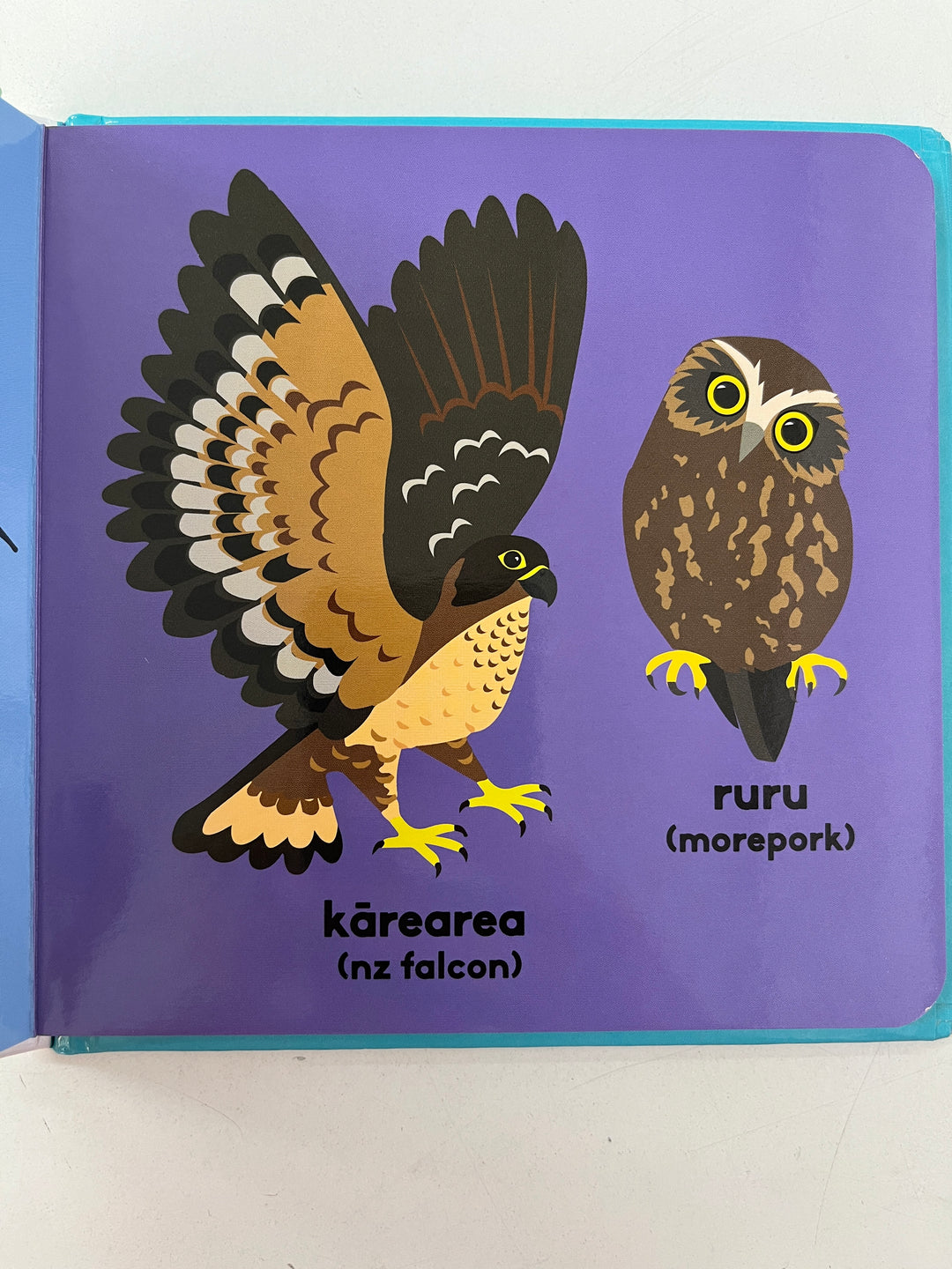 Animals of Aotearoa Book