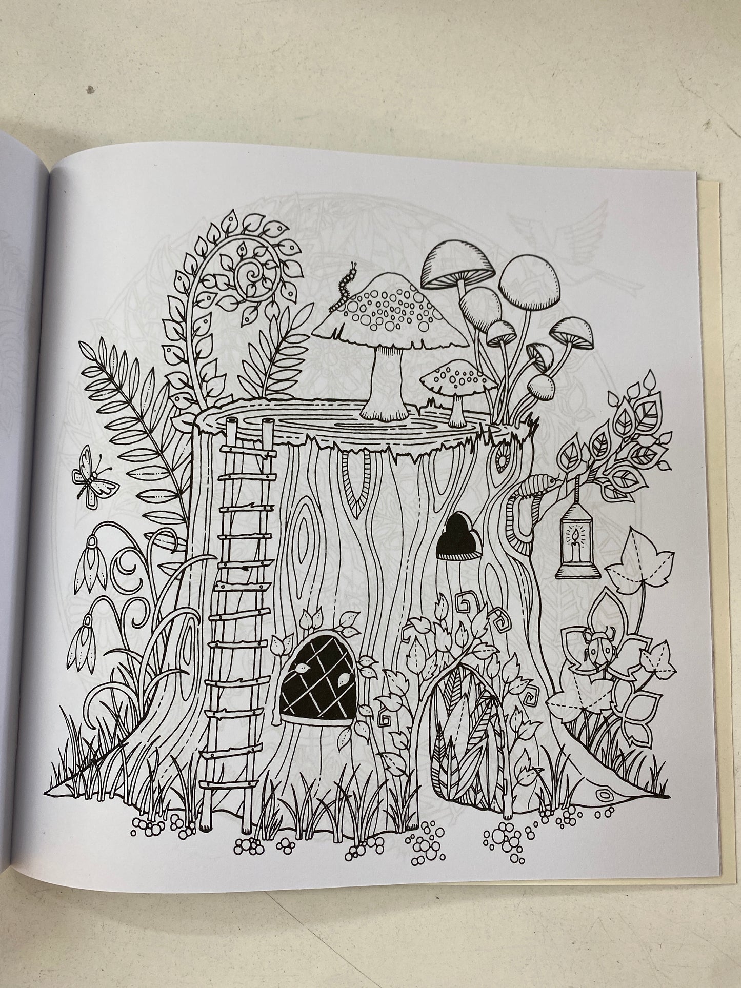 Enchanted forest colouring Book