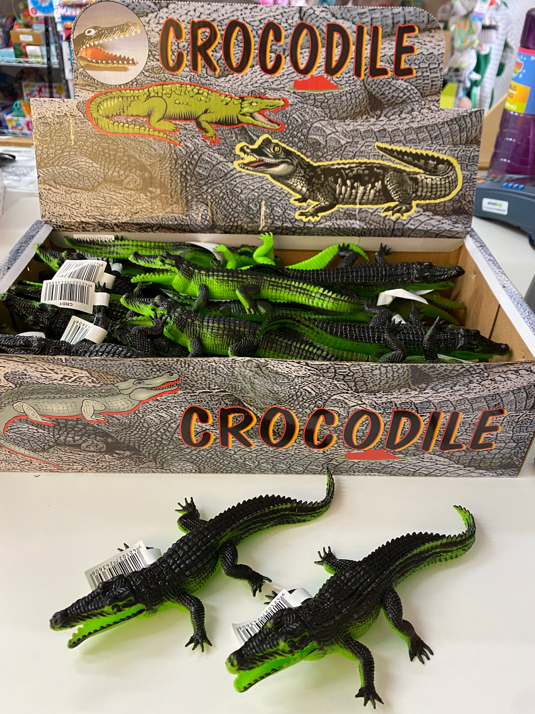 crocodile