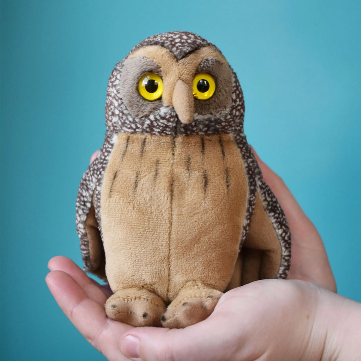Morepork