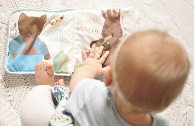 Night Night Peter Rabbit Cloth Book