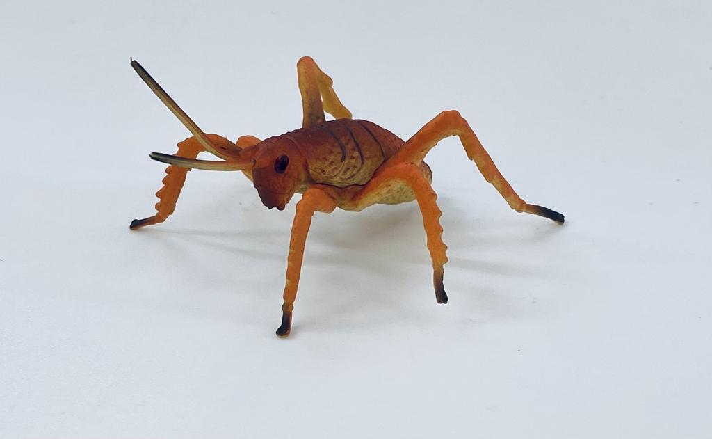 NZ Animals Small Figurines- Weta