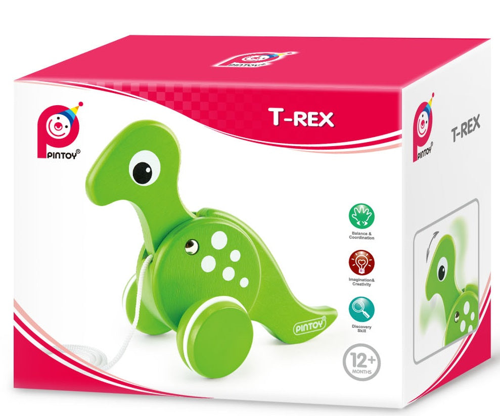 Pintoy T-Rex