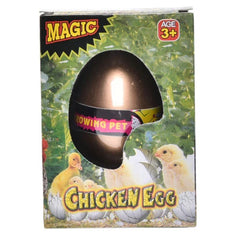 Growing Chicken Egg