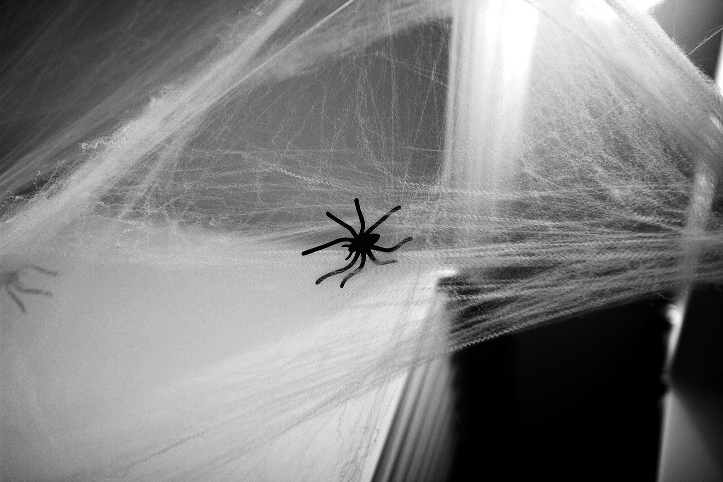 kidz-stuff-online - Stretchable Spider Webs